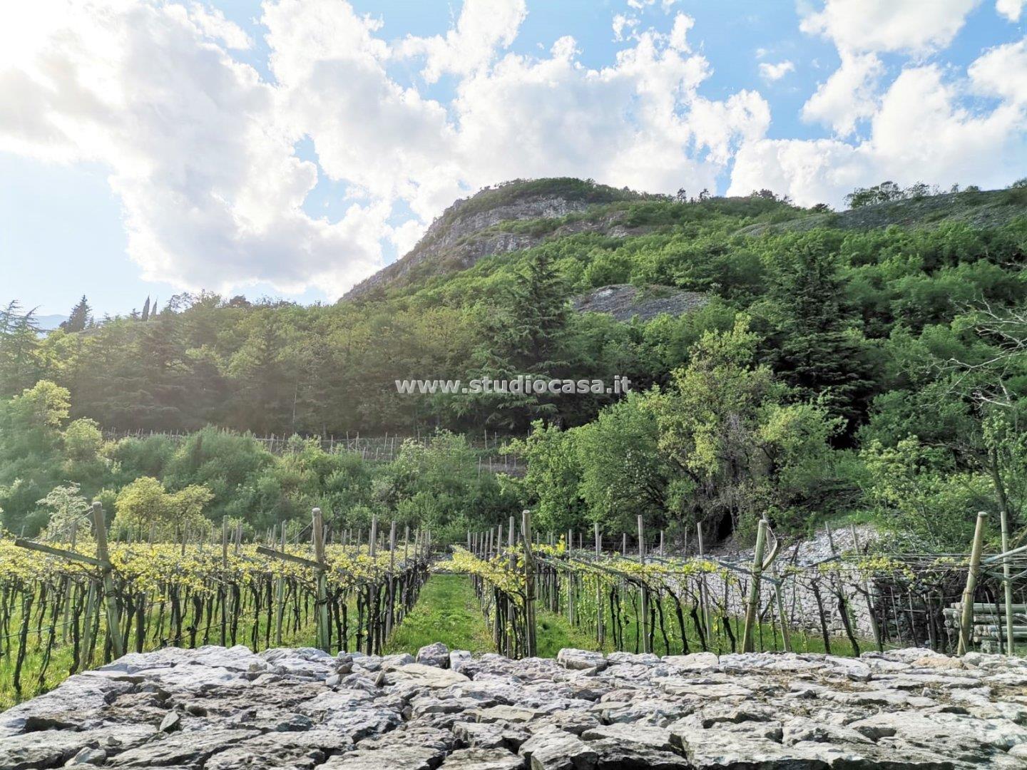 Terreno Agricolo in vendita a Nomi