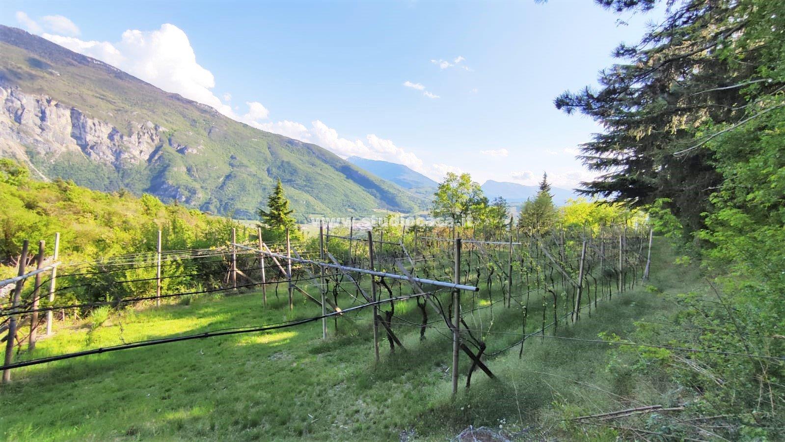Terreno Agricolo in vendita a Nomi