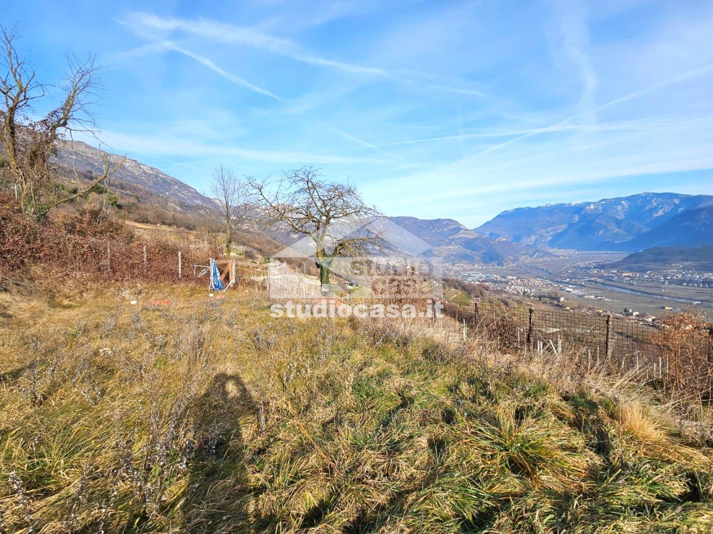 Terreno Agricolo in vendita a Isera