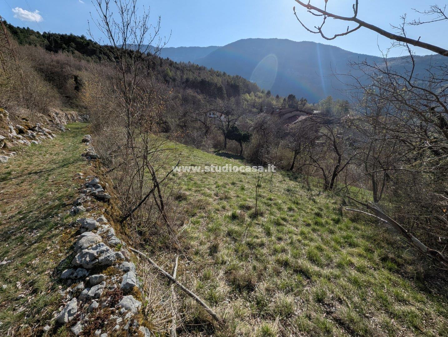 Terratetto in vendita a Trambileno