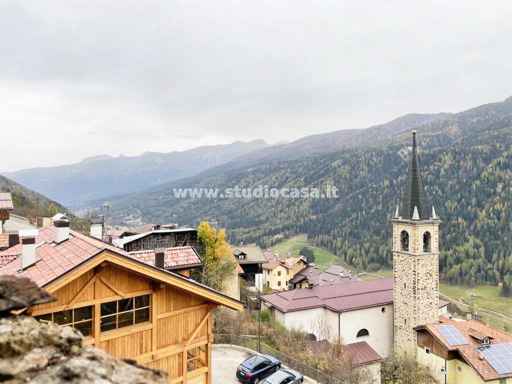 Cascina in vendita a Pellizzano