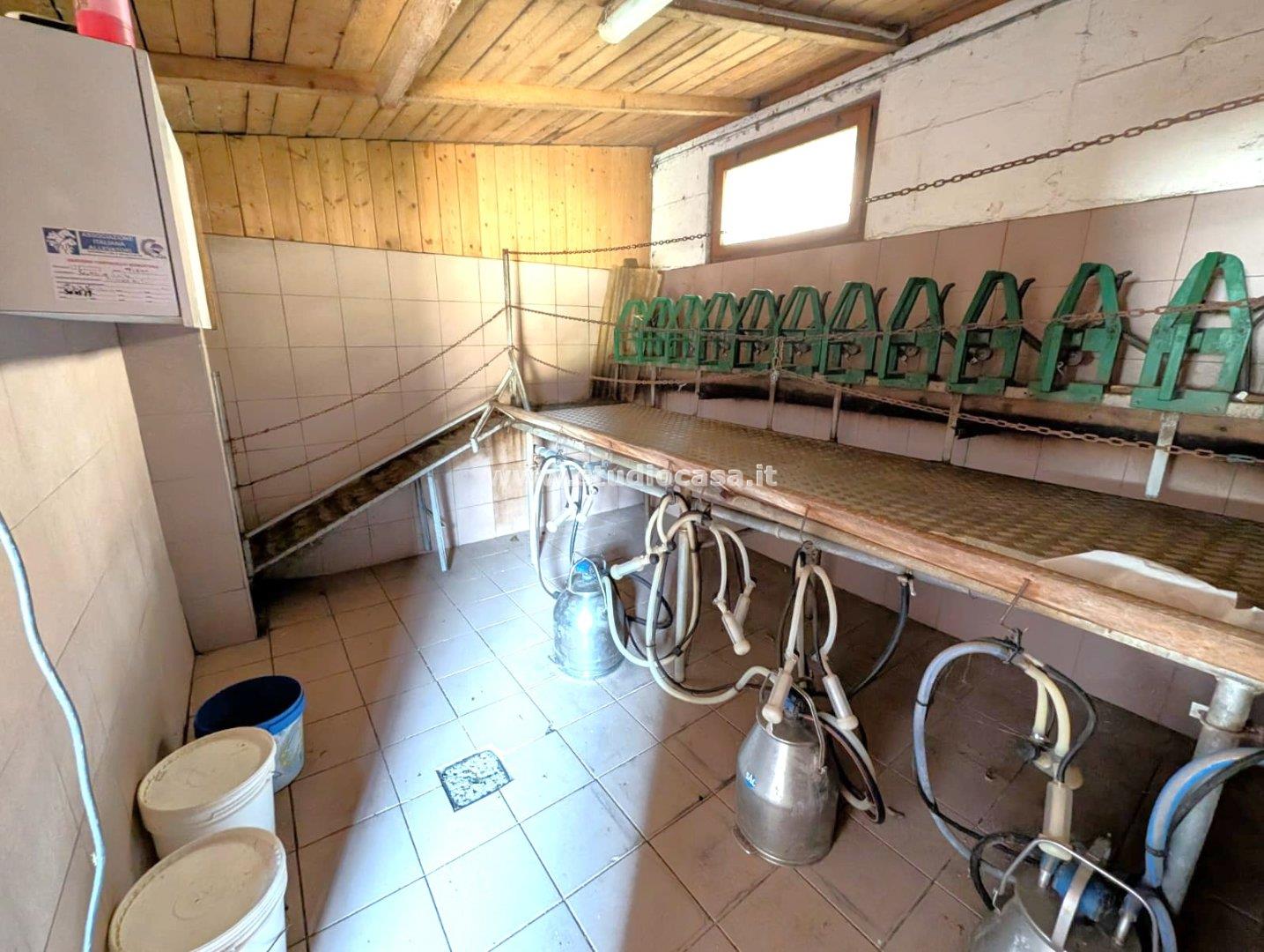 Magazzino in vendita a Trambileno