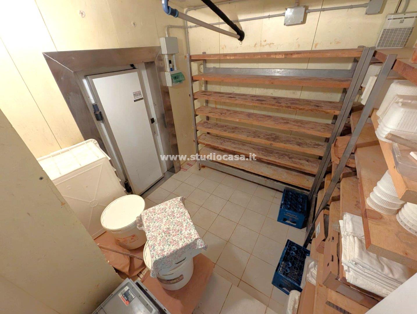 Terratetto in vendita a Trambileno