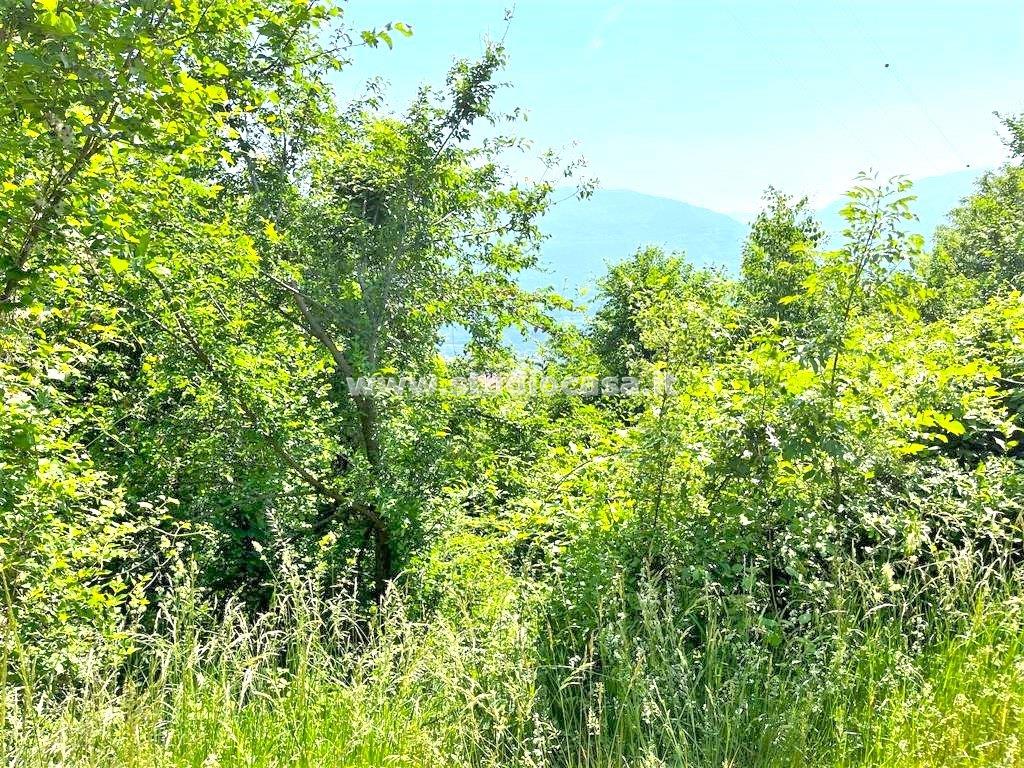 Terreno Agricolo in vendita a Isera