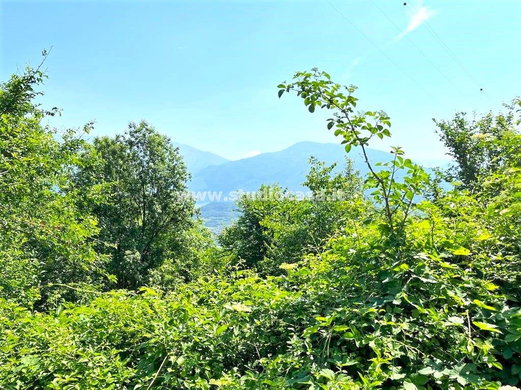 Terreno Agricolo in vendita a Isera