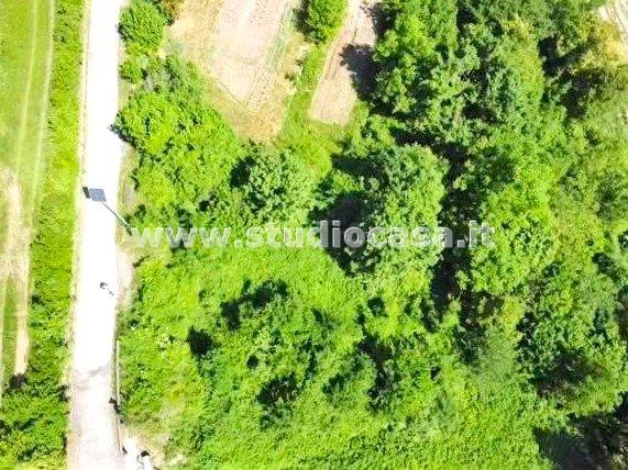 Terreno Agricolo in vendita a Isera