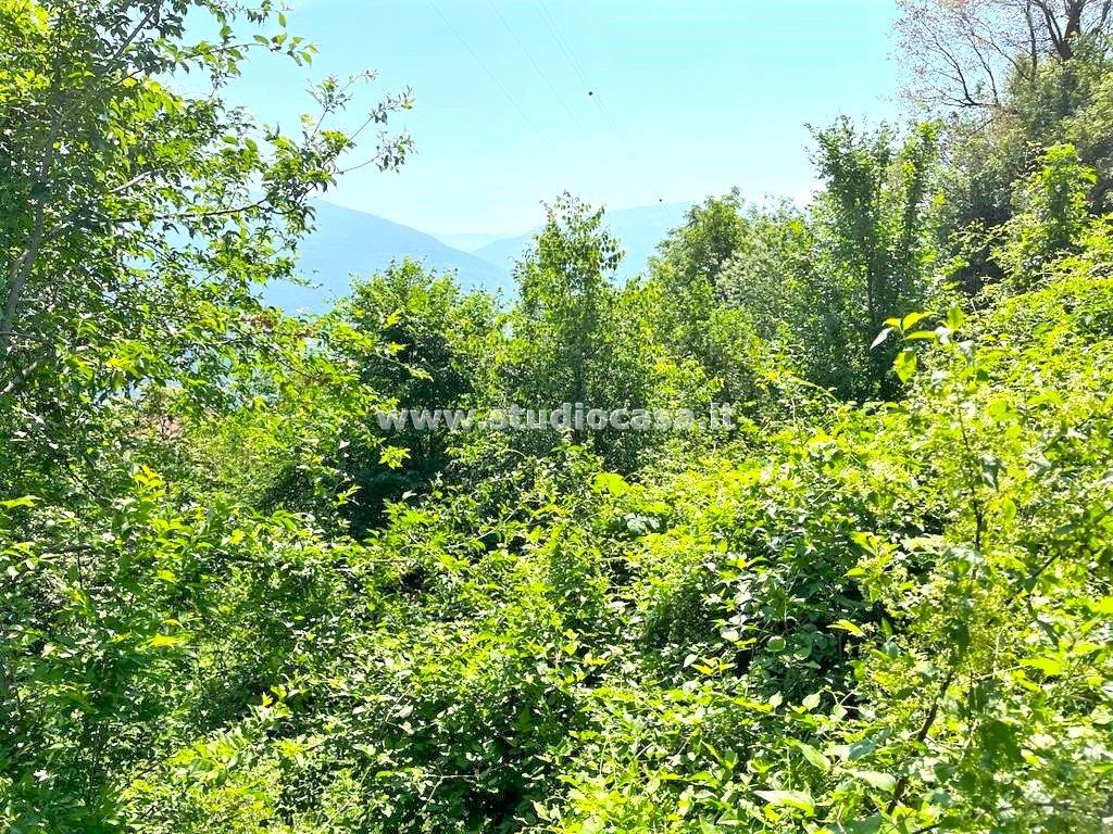 Terreno Agricolo in vendita a Isera