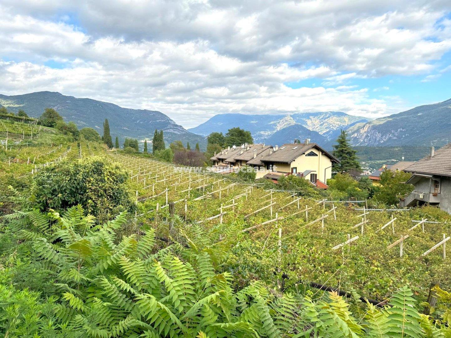 Terreno Residenziale in vendita a Nogaredo