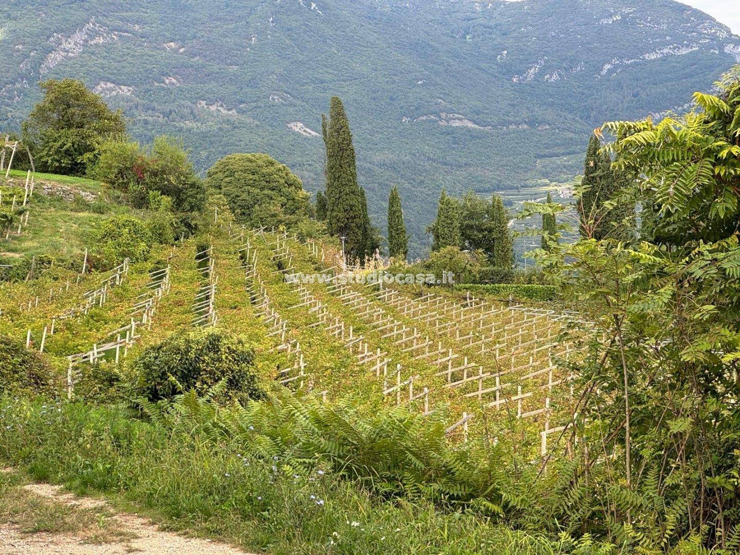 Terreno Residenziale in vendita a Nogaredo