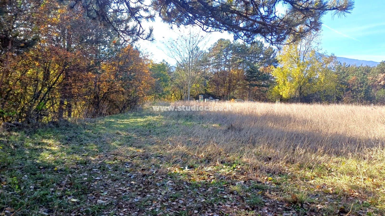 Terreno Agricolo in vendita a Rovereto