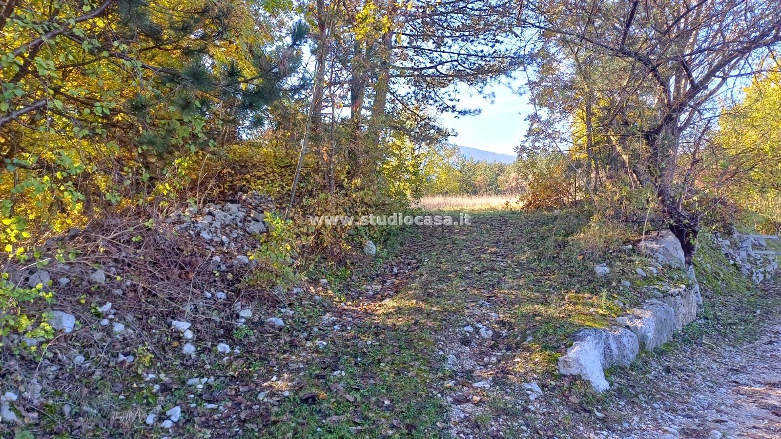 Terreno Agricolo in vendita a Rovereto