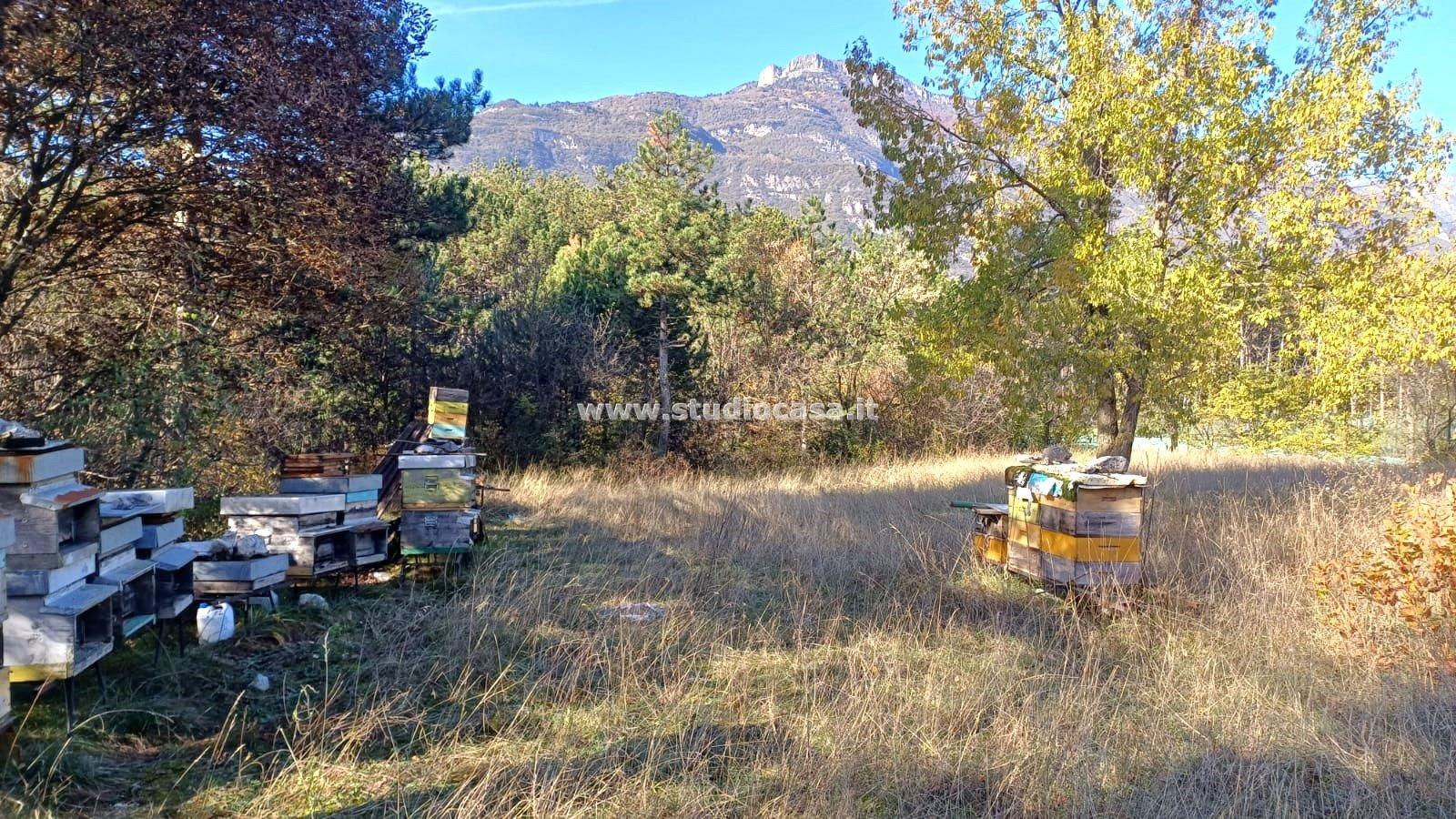 Terreno Agricolo in vendita a Rovereto