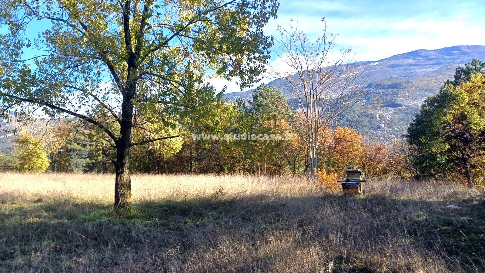 Terreno Agricolo in vendita a Rovereto