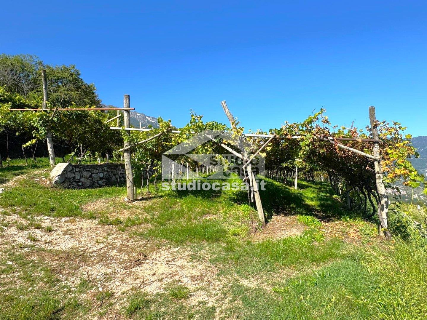 Terreno Agricolo in vendita a Isera