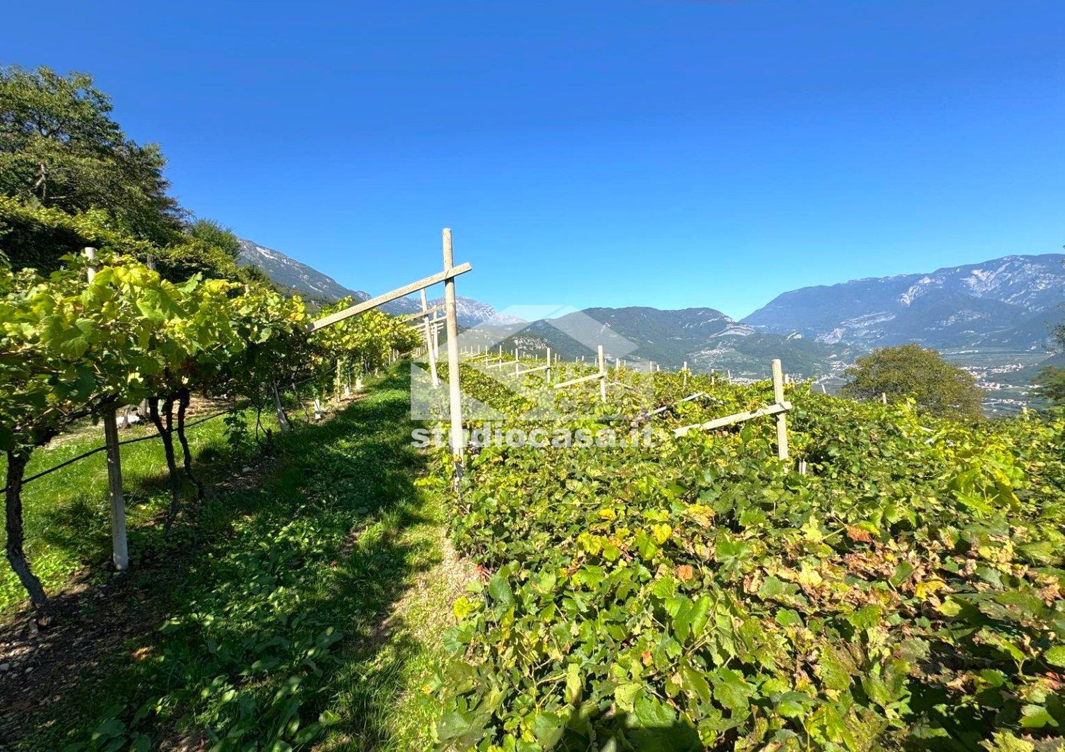 Terreno Agricolo in vendita a Isera