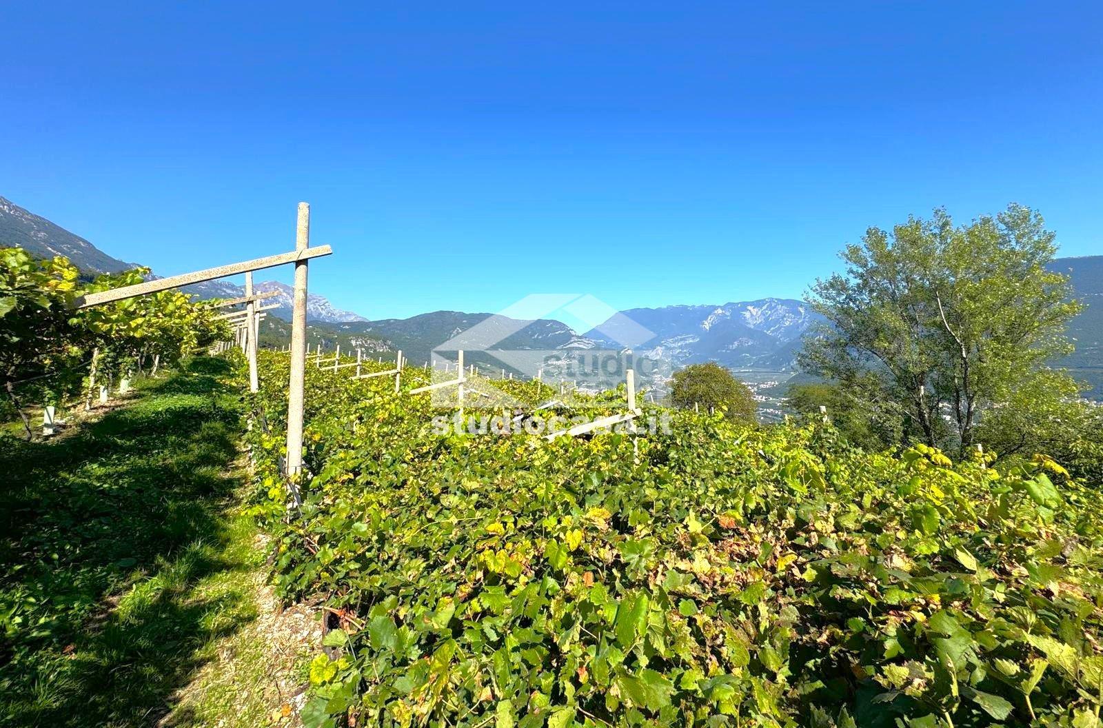 Terreno Agricolo in vendita a Isera