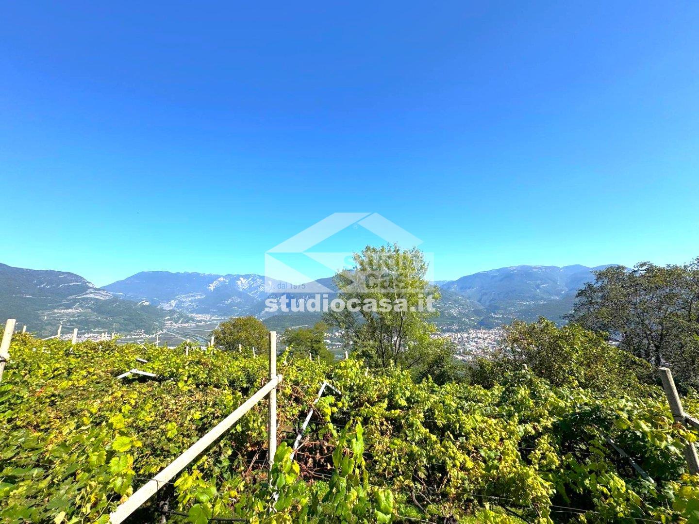 Terreno Agricolo in vendita a Isera