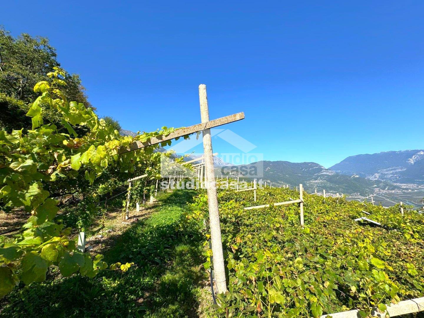 Terreno Agricolo in vendita a Isera