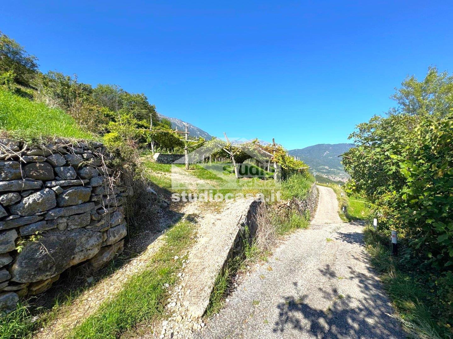 Terreno Agricolo in vendita a Isera