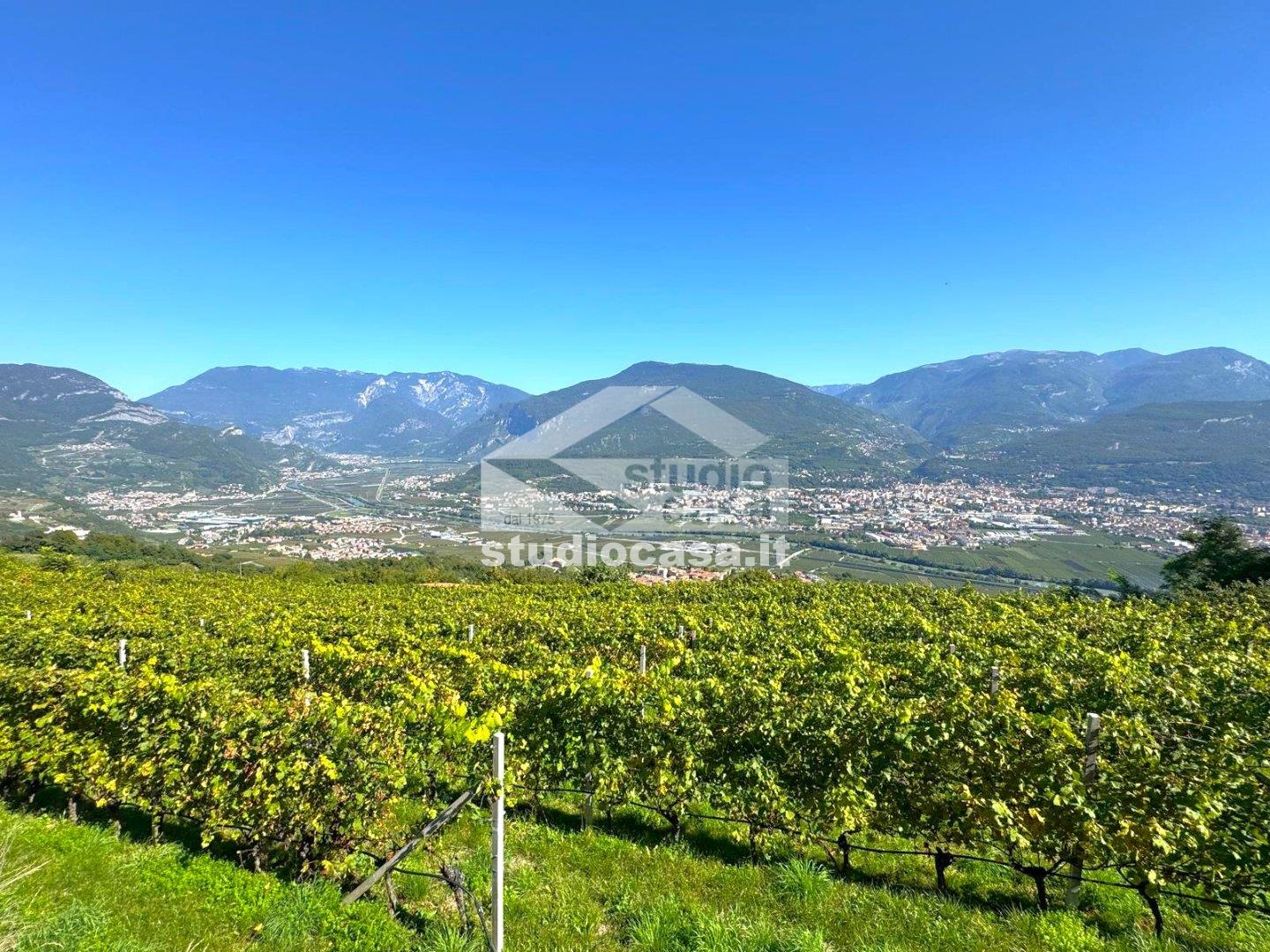 Terreno Agricolo in vendita a Isera