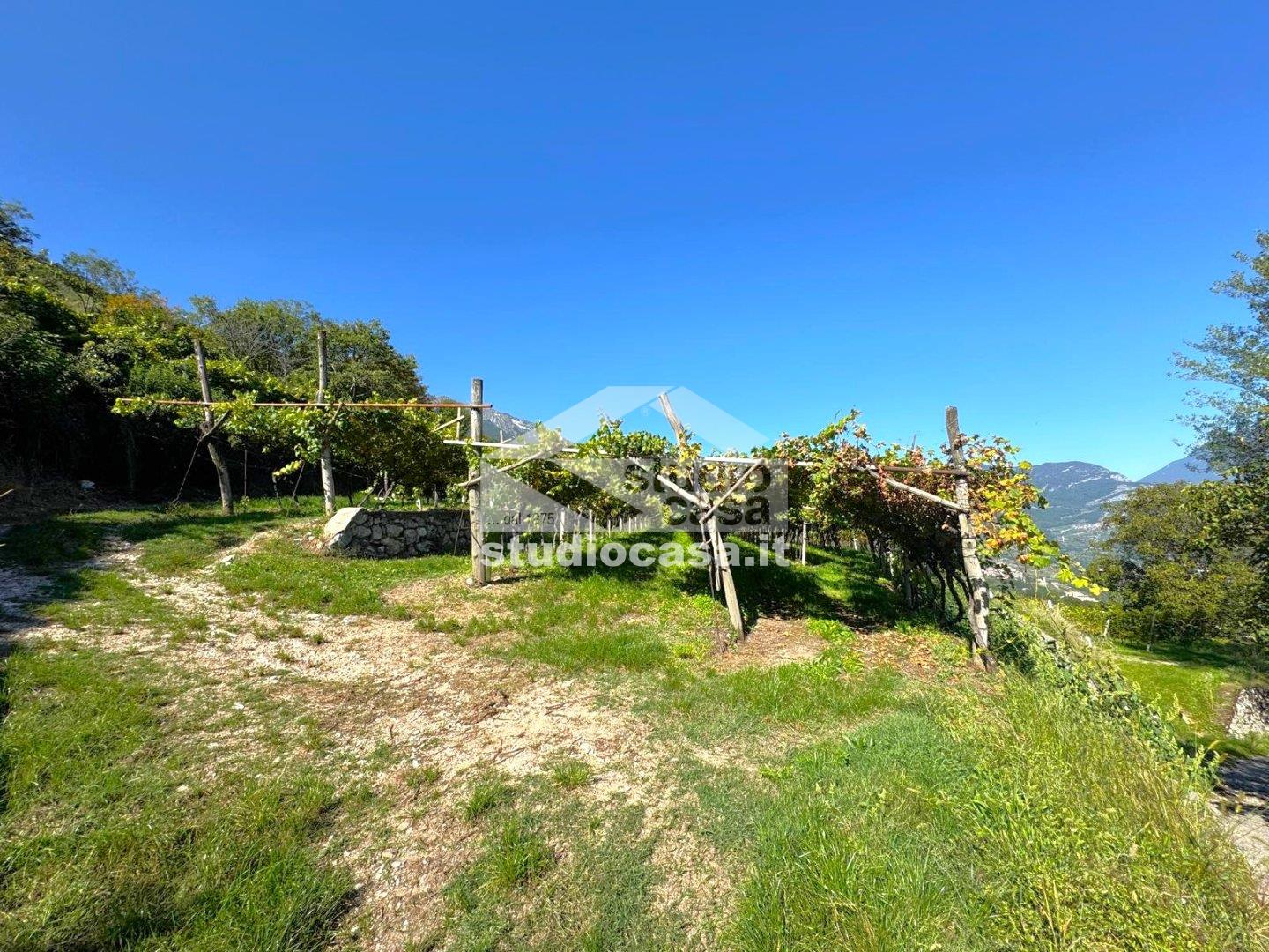 Terreno Agricolo in vendita a Isera