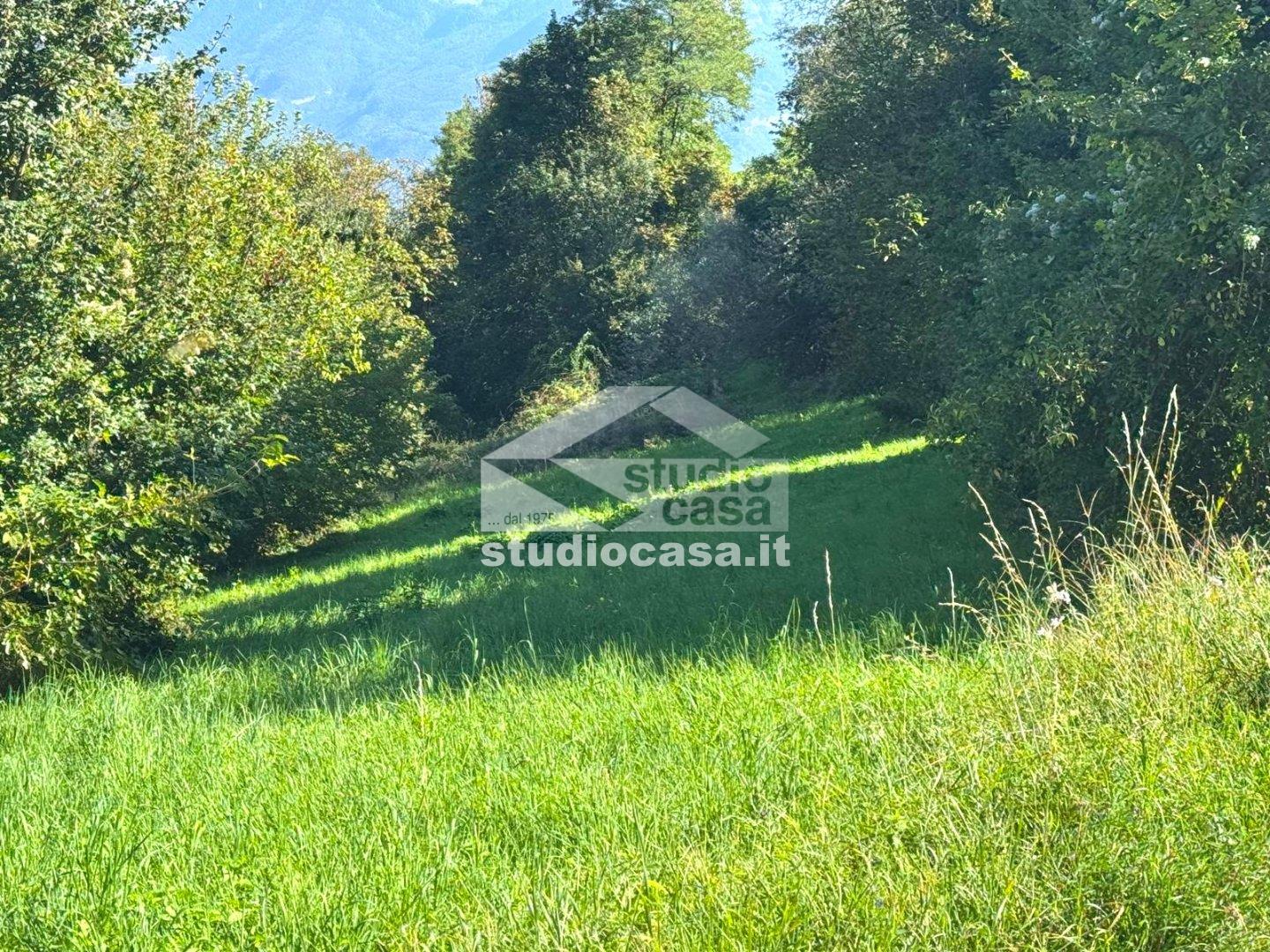 Terreno Agricolo in vendita a Isera