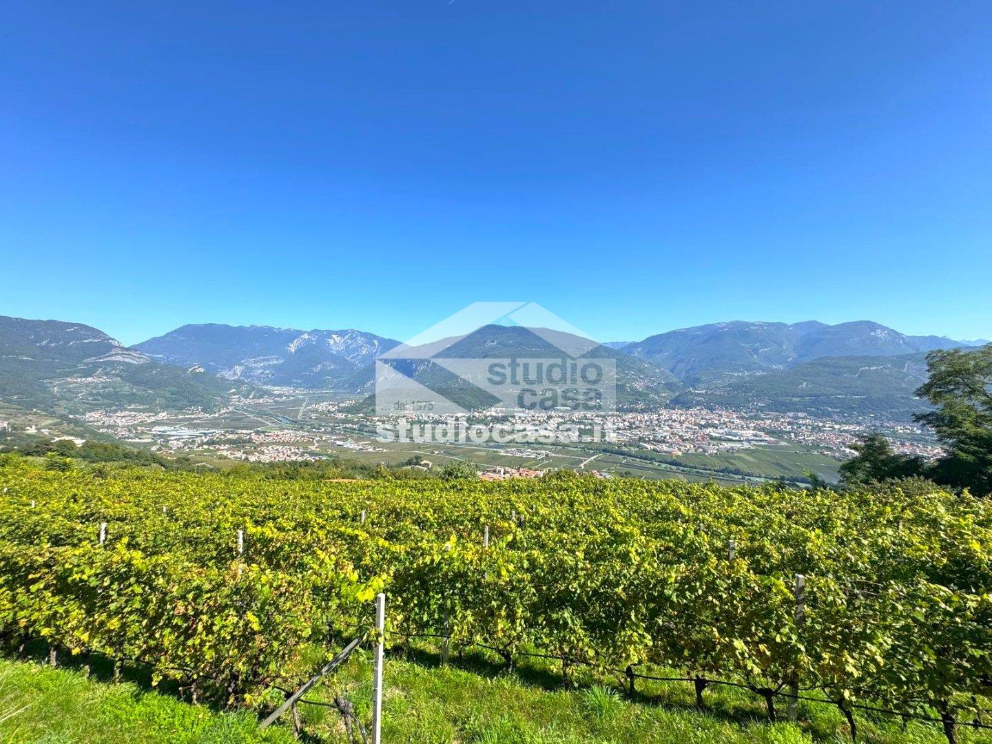 Terreno Agricolo in vendita a Isera