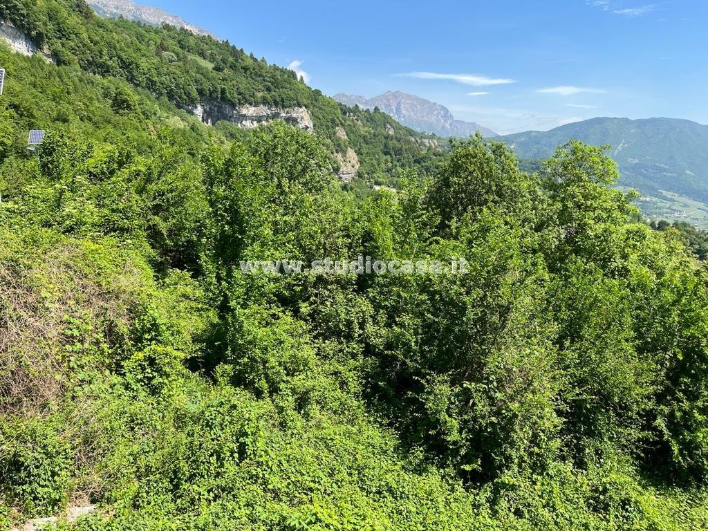 Terreno Agricolo in vendita a Isera