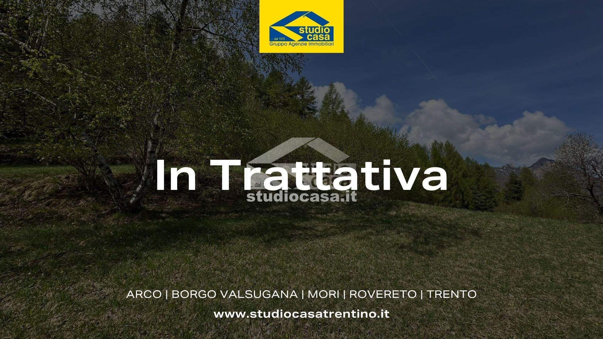 Terreno Boschivo in vendita a Vallarsa
