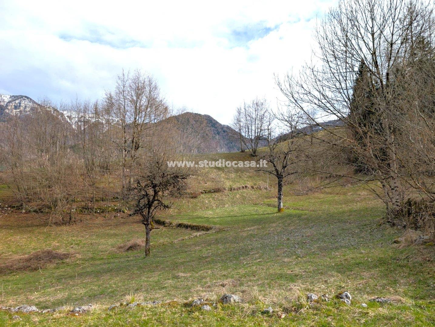 Terratetto in vendita a Terragnolo
