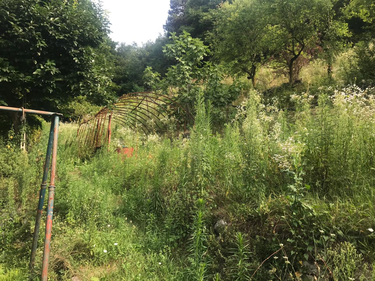 Terreno Agricolo in vendita a Nogaredo
