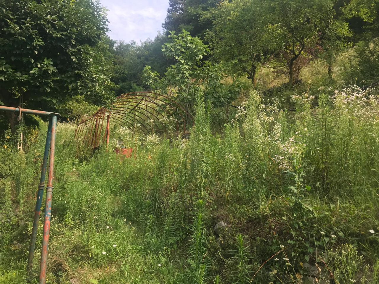 Terreno Agricolo in vendita a Nogaredo