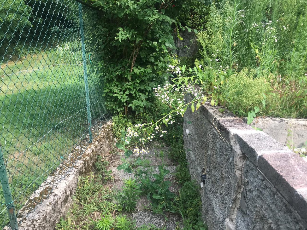 Terreno Agricolo in vendita a Nogaredo