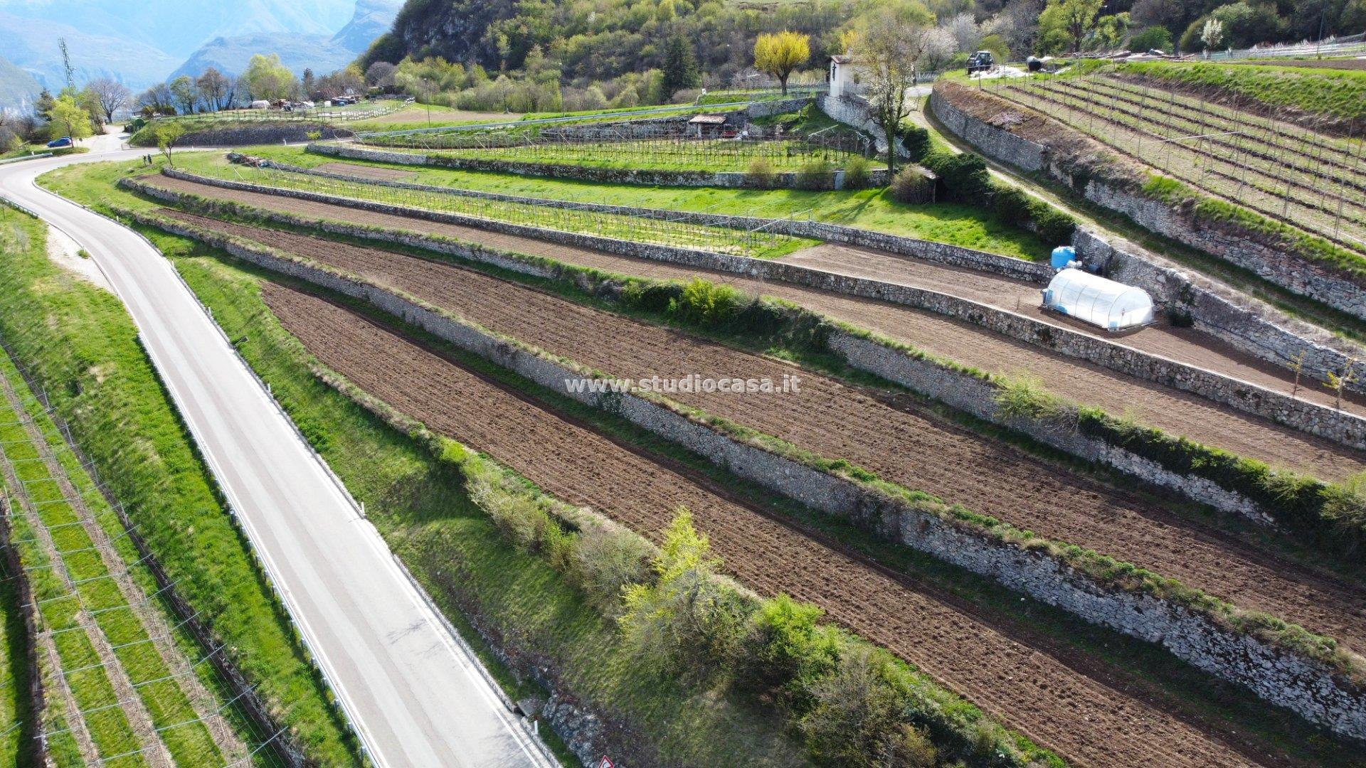 Terreno Agricolo in vendita a Isera