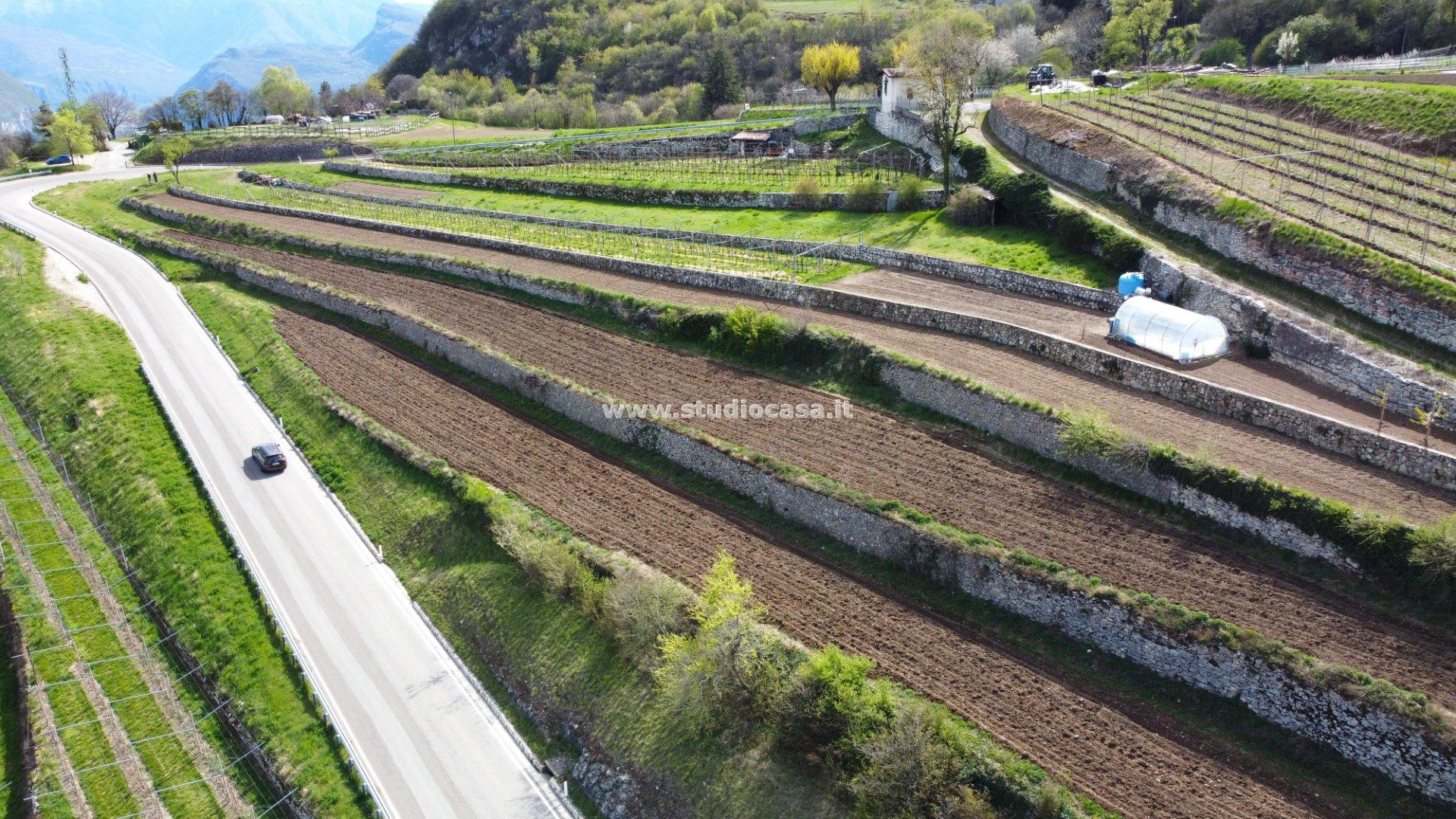 Terreno Agricolo in vendita a Isera
