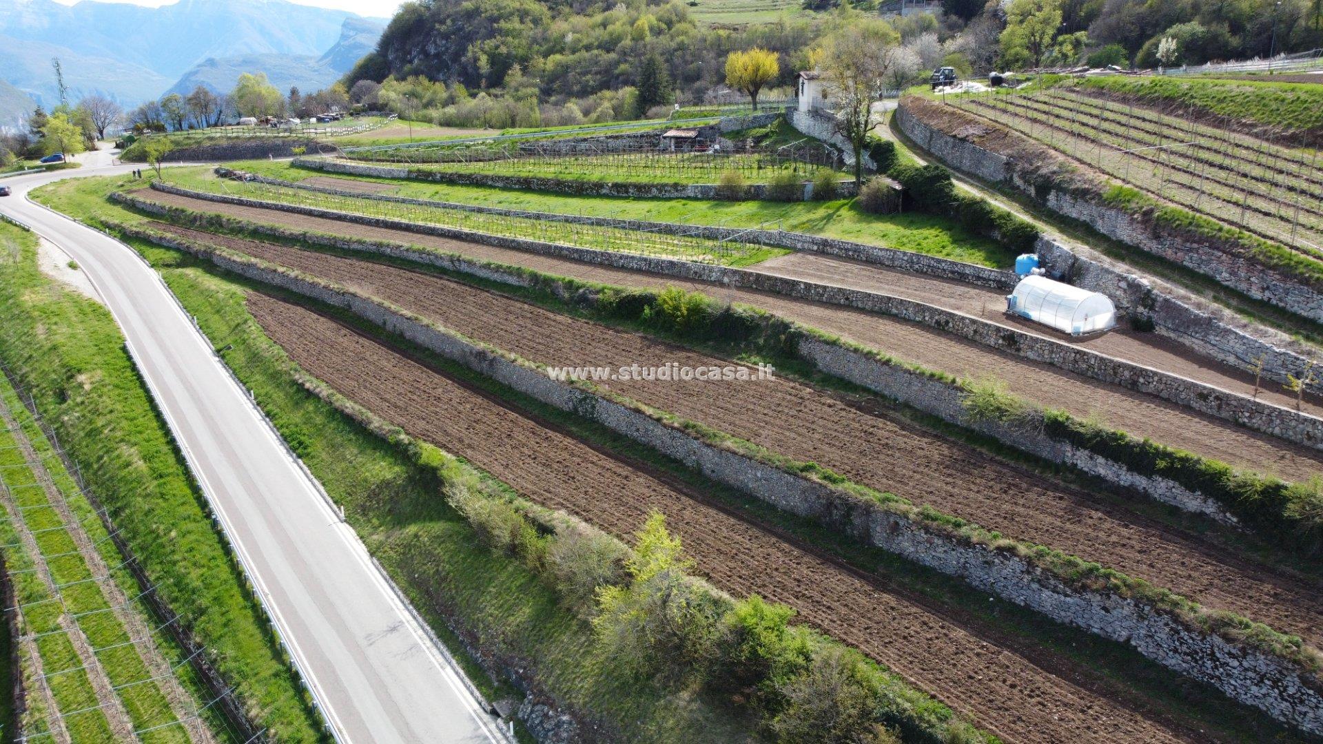 Terreno Agricolo in vendita a Isera
