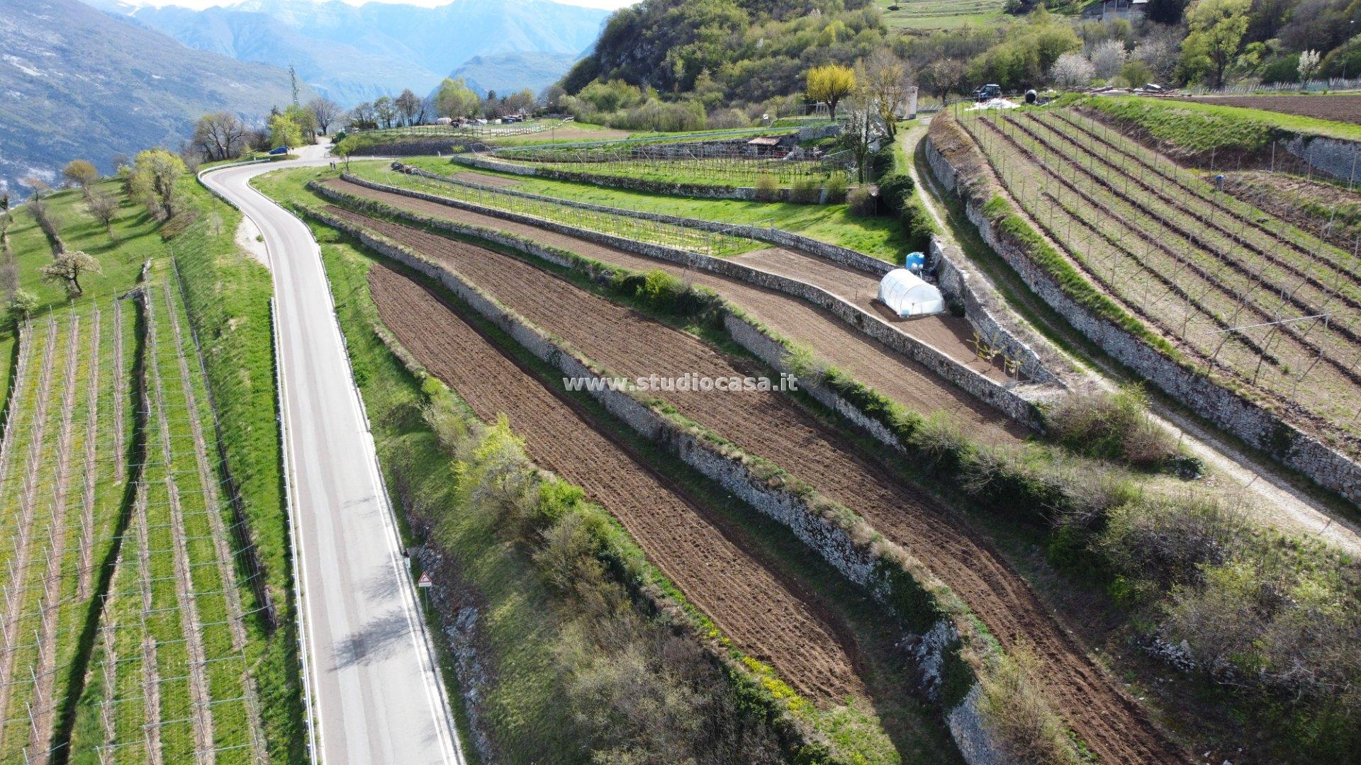 Terreno Agricolo in vendita a Isera