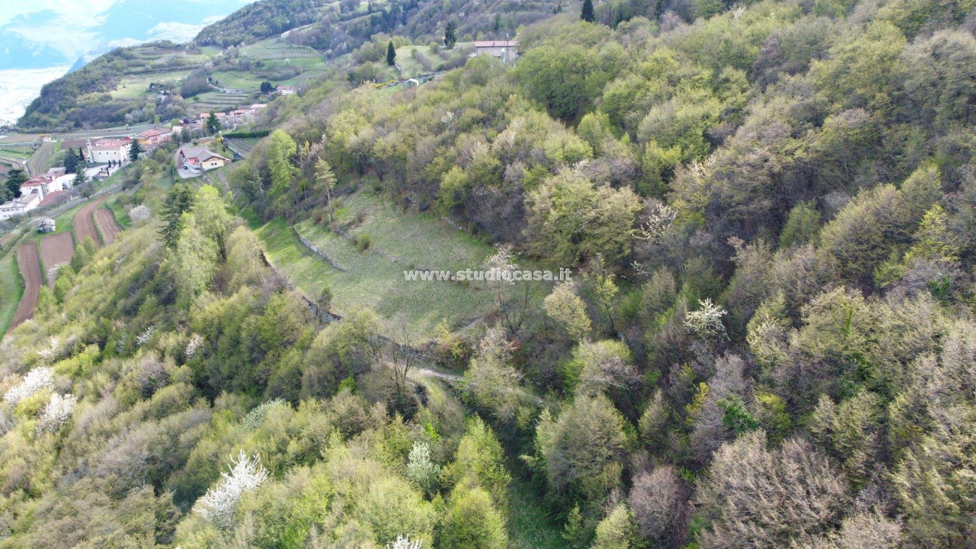 Terreno Agricolo in vendita a Isera
