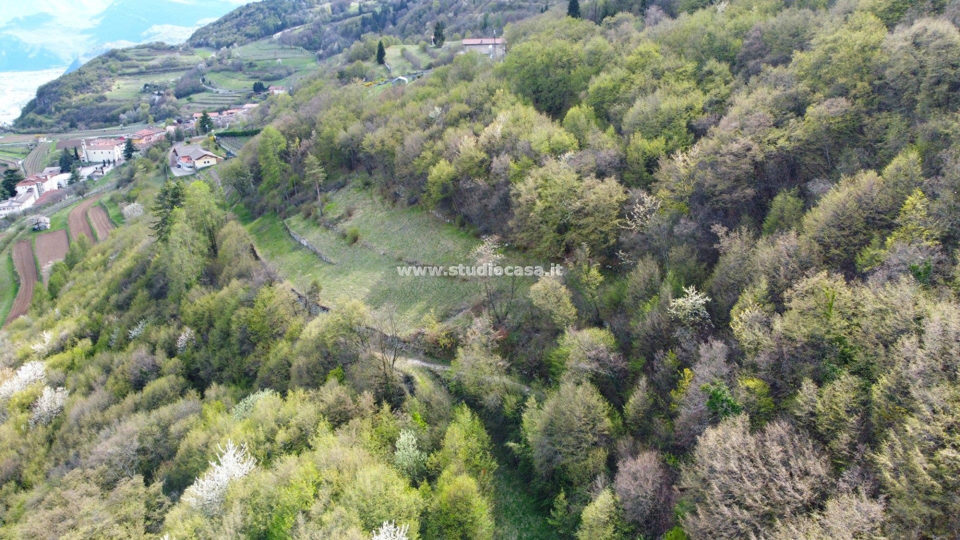 Terreno Agricolo in vendita a Isera