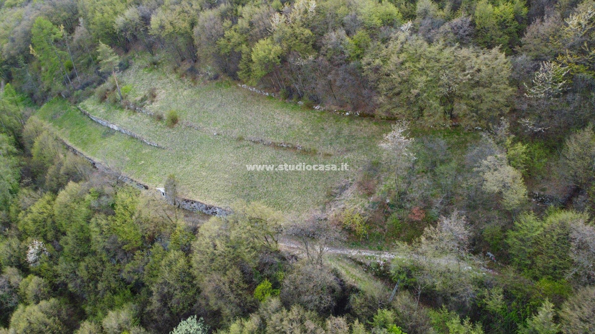 Terreno Agricolo in vendita a Isera