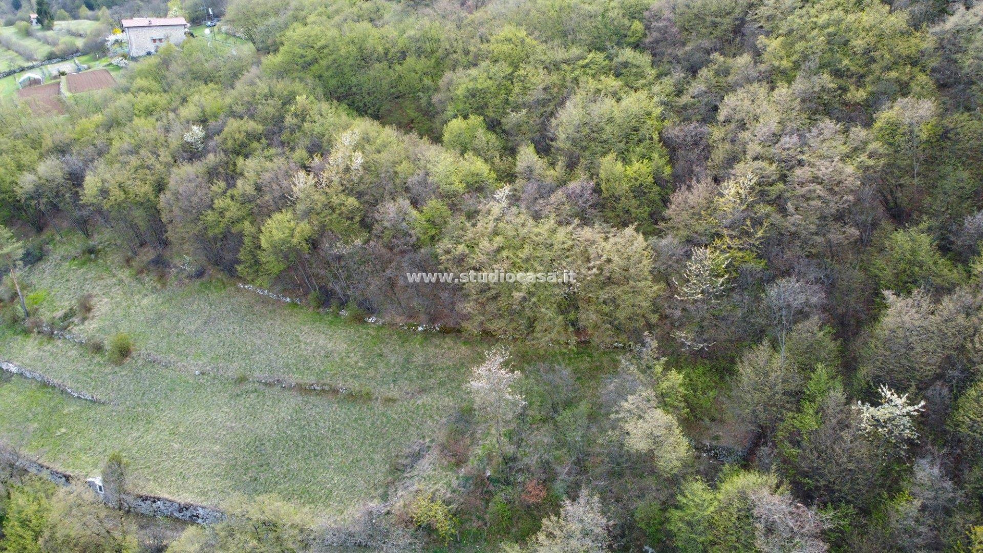 Terreno Agricolo in vendita a Isera