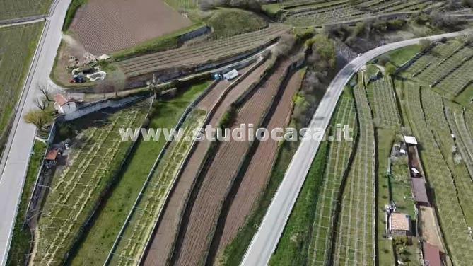 Terreno Agricolo in vendita a Isera