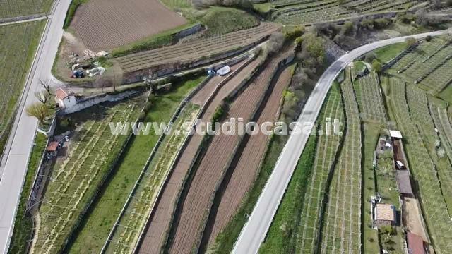 Terreno Agricolo in vendita a Isera