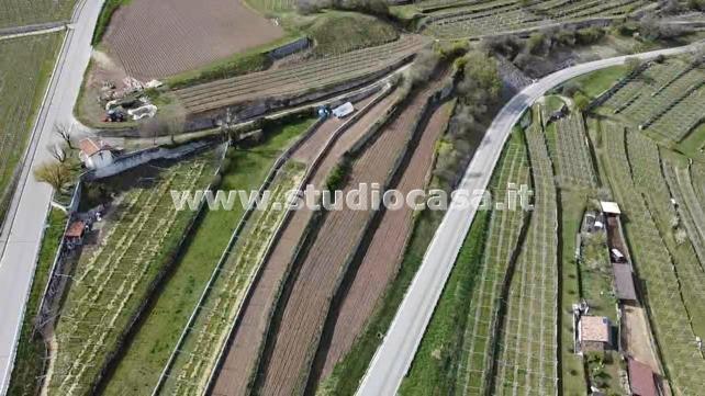Terreno Agricolo in vendita a Isera