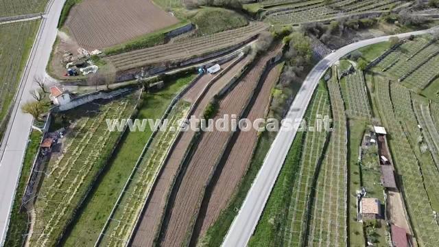 Terreno Agricolo in vendita a Isera