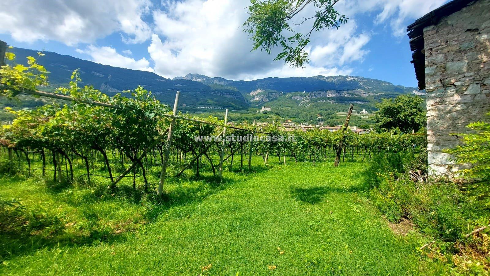 Terreno Agricolo in vendita a Nogaredo