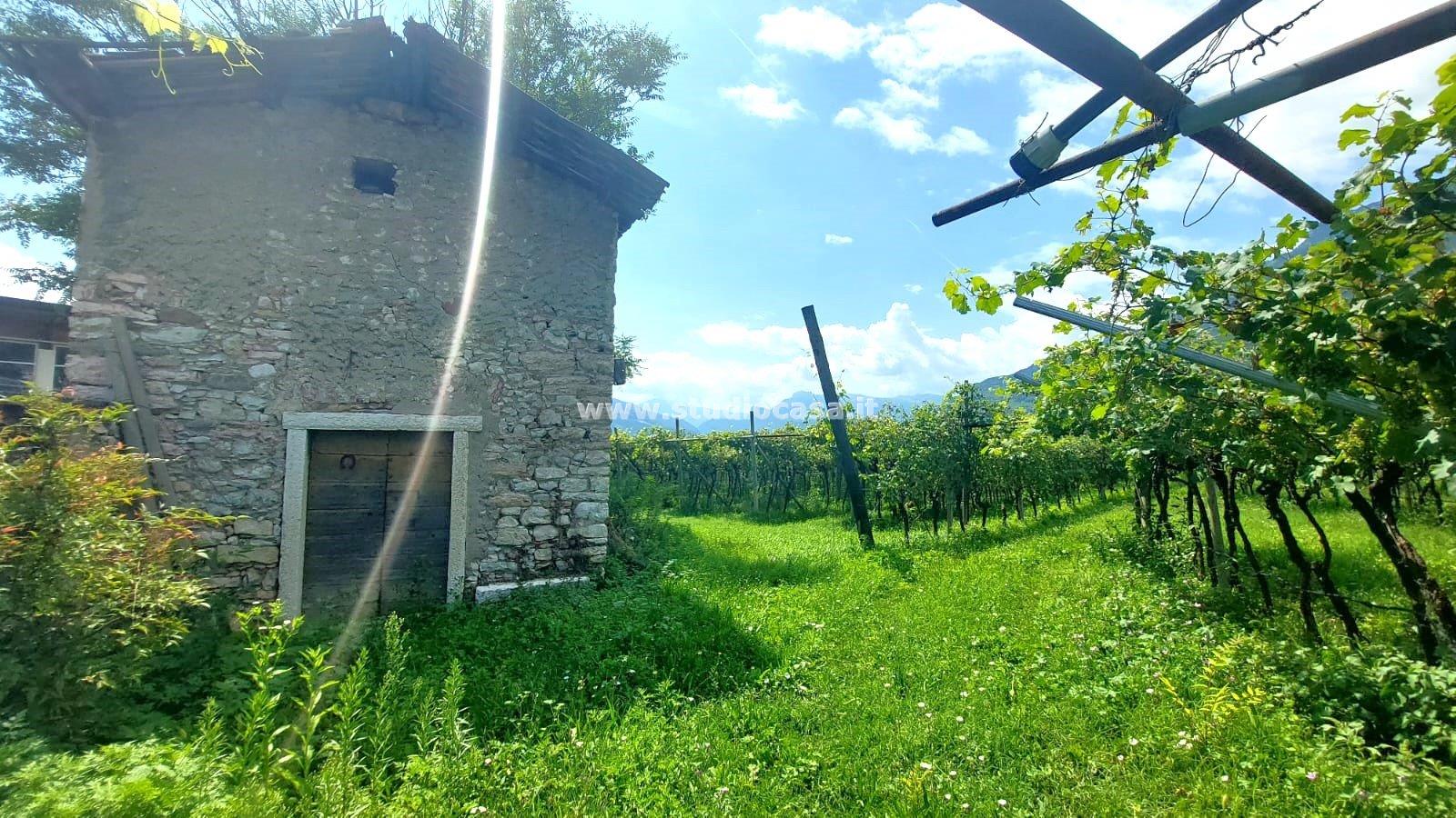 Terreno Agricolo in vendita a Nogaredo