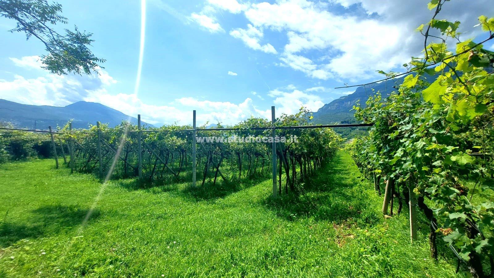 Terreno Agricolo in vendita a Nogaredo