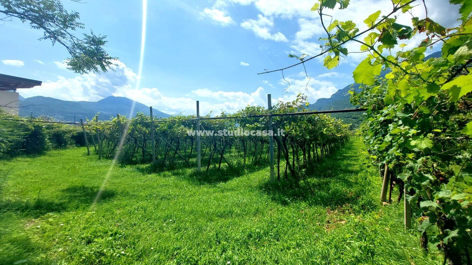 Terreno Agricolo in vendita a Nogaredo