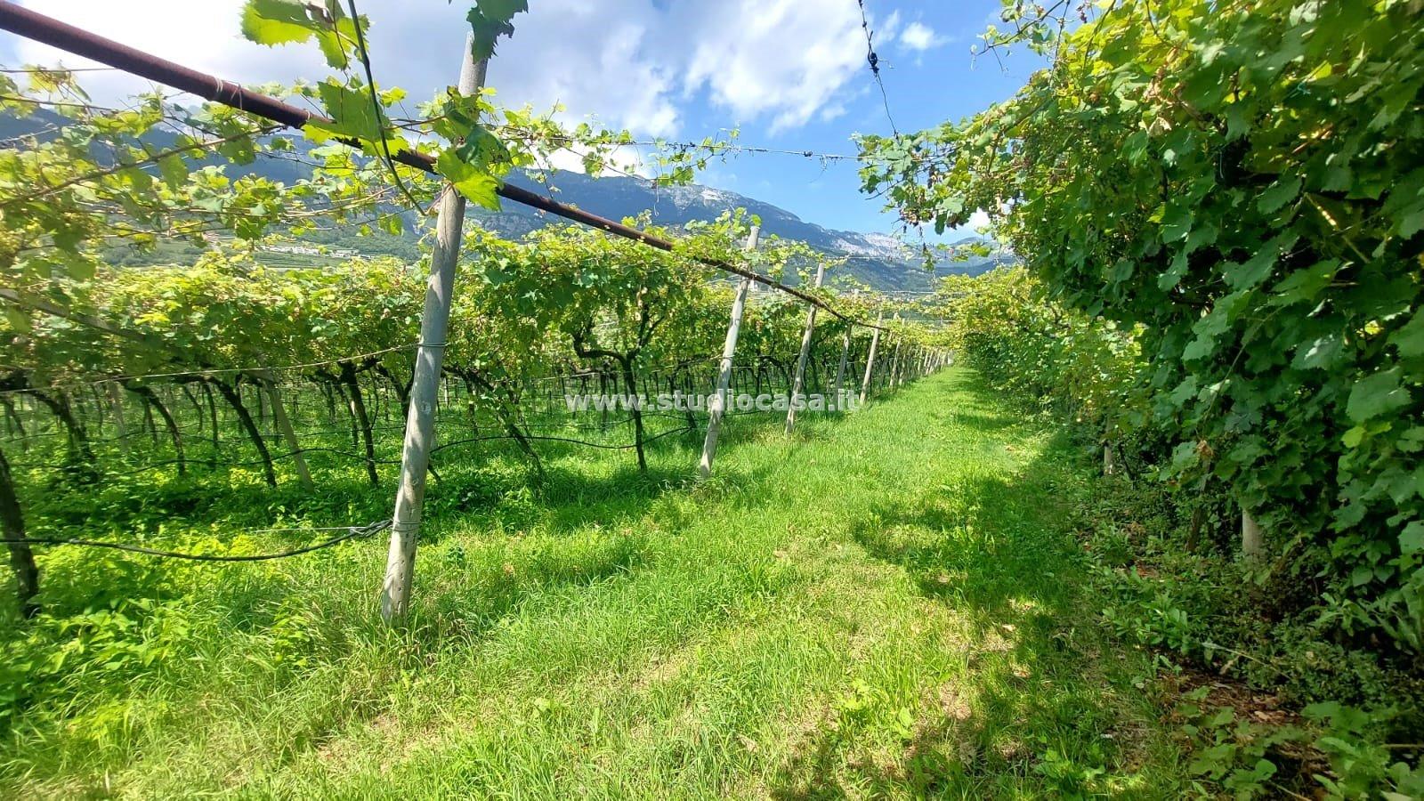 Terreno Agricolo in vendita a Nogaredo
